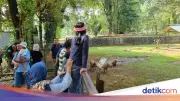 Warga Cianjur Ajak Anak Liburan ke Ragunan Demi Kapibara Viral