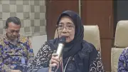Waspada Dampak El Nino Godzilla: Kesehatan dan Kebakaran Mengintai