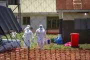 WHO Deklarasikan Darurat Global Akibat Lonjakan Kasus Ebola di Afrika