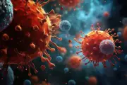 WHO Tetapkan Wabah Ebola di Kongo dan Uganda sebagai Darurat Global