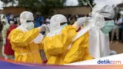 WHO Tetapkan Wabah Ebola di Kongo sebagai Darurat Kesehatan Global