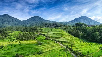 BRIN: Subak Bali Jadi Contoh Global Pertanian Berkelanjutan