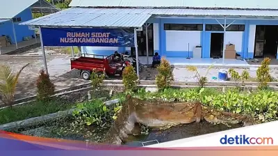 Dampak Budidaya Sidat Nusakambangan bagi Ekonomi Warga Cilacap