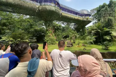 Gratis Masuk Ragunan, Ancol, Monas di HUT ke-499 Jakarta