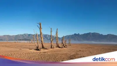 Hari Memerangi Penggurusan dan Kekeringan 2026: Fokus pada Padang Rumput