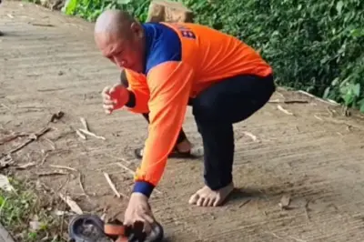 Heru Jejak Si Gundul Buta Akibat Bisa Ular Kobra Jawa