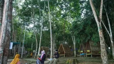 Hutan Berkelanjutan Kaltim Hasilkan Rp 8,1 Miliar dari Usaha Lestari