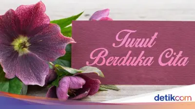 Kader Gerindra Zeng Wei Jian Meninggal, Habiburokhman Berduka