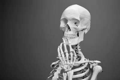 Kalsium Maksimal Diserap Hingga Usia 30 Tahun, Dampak Osteoporosis Mengintai