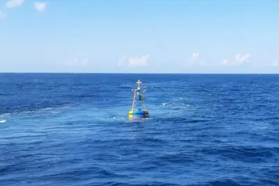 Keajaiban di China: Pria 39 Tahun Selamat 7 Hari di Laut dengan Makan Kepiting Mentah