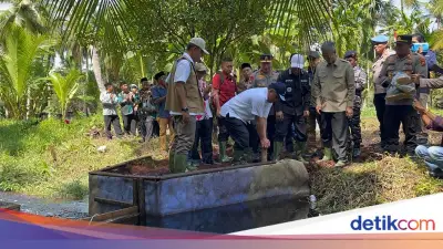 Menteri LH Tinjau Sekat Kanal Cegah Karhutla di Pelalawan