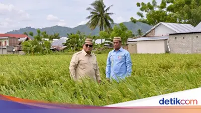 Prabowo Optimis Indonesia Segera Jadi Lumbung Padi Dunia