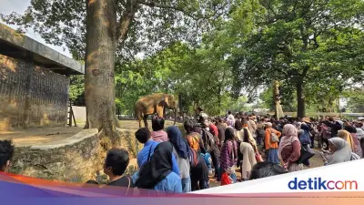 Ragunan Diserbu 135 Ribu Pengunjung di Hari Terakhir Gratis HUT DKI