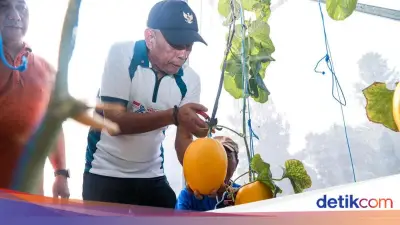 Sentra Kemensos Kini Jadi Pusat Pemberdayaan Pertanian dan Perkebunan