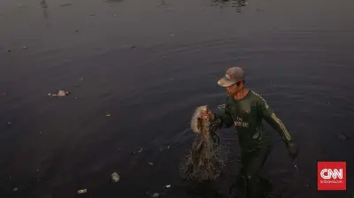 Sungai Ciujung Serang Diduga Tercemar, Air Hitam dan Bau Menyengat