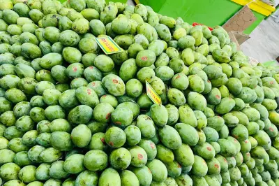 Tips Memilih Mangga Matang Sempurna: Jangan Tertipu Warna Kulit