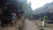 Babi Hutan dan Monyet Rusak 5 Hektare Ladang Petani Badui di Lebak