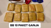 Bareskrim Bongkar Pengiriman 10 Paket Ganja dari Padang ke Sidoarjo