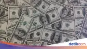 Bawa Uang Tunai Rp6,3 Miliar, WN Thailand Diamankan Bea Cukai Soetta