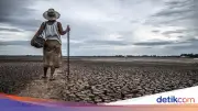 BMKG: Puncak Musim Kemarau 2026 Juli-September, El Nino Masih Mengancam
