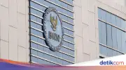 BNN Bantah Penangkapan 10 WNI Positif Narkoba Terkait Caketum HIPMI