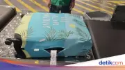 BNN Tangkap 2 WN Rusia di Bali, Sita 7,8 Kg Hashish