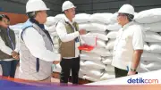 BPK Apresiasi Kinerja BULOG, Pengadaan Gabah dan Beras Capai 77 Persen