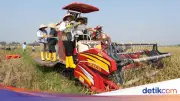 BPK Dukung BULOG Wujudkan Swasembada Pangan Lewat Tata Kelola Transparan