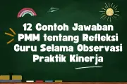 Contoh Refleksi Praktik Kinerja di PMM untuk Tindak Lanjut