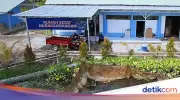 Dampak Budidaya Sidat Nusakambangan bagi Ekonomi Warga Cilacap