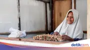 Dari Pulau Arar Papua, Ragaia Buktikan PNM Mekaar Ubah Nasib Keluarga
