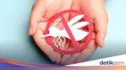 Hari Demam Berdarah ASEAN 2026: Tema dan Pesan Penting untuk Nol Kematian