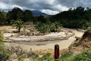 Hilangnya Biodiversitas Ancam Peringkat Kredit Negara Termasuk Indonesia