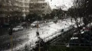 Hujan Deras di Denpasar: Pohon Tumbang dan Bangunan Rusak