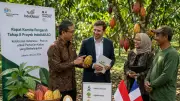 Indonesia dan Prancis Perkuat Strategi Kakao Berkelanjutan Lewat IndoKAKAO Fase II