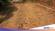 Jalan Rusak Berujung Petisi Darah, Pemprov Banten Desak Pemkab Pandeglang Bergerak
