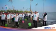Jateng Tanam 92.290 Bibit Mangrove dan Tanaman Pesisir Cegah Abrasi
