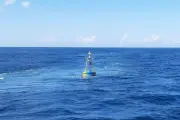 Keajaiban di China: Pria 39 Tahun Selamat 7 Hari di Laut dengan Makan Kepiting Mentah