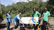 Konservasi Hutan Bambu di Tabanan Bali Dorong Ekonomi Warga