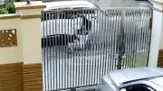 Lansia di Penjaringan Nyaris Diculik saat Olahraga Pagi, Terekam CCTV