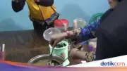 Lapo di Cengkareng Diduga Jual Daging Anjing, Pemkot Ambil Sampel