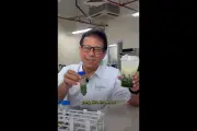 Menkes Budi Gunadi Uji Gula Minuman Pinggir Jalan, Hasilnya?