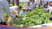 Menteri Imipas Minta Lapas-Rutan Sisihkan 10% Laba untuk Program Sosial