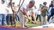 Menteri LH Targetkan Penanaman 2 Miliar Pohon untuk Ketahanan Iklim