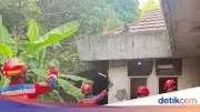 Monyet Ekor Panjang Lepas 3 Hari di Bekasi, Gigit Warga Dievakuasi Damkar