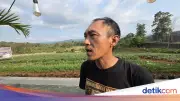 Napi Lapas Warungkiara Senang Bertani Sambil Jalani Hukuman