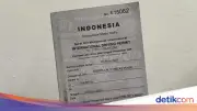 Perbedaan SIM Indonesia dan Internasional yang Wajib Diketahui