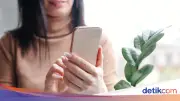 Peringkat Internet Indonesia Anjlok di Speedtest Global Index Mei 2026
