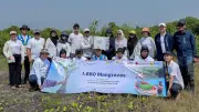 PLN EPI Tanam 1.680 Bibit Mangrove di Karawang Peringati Hari Lingkungan Hidup