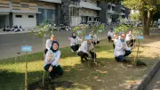 PNM Tanam 27.000 Pohon di 58 Cabang untuk Dukung Penghijauan dan SDGs